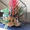 7" Green Artificial Succulent Arrangement in Offset Metal Wire Frame